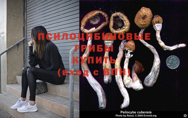 марки lsd Слюдянка