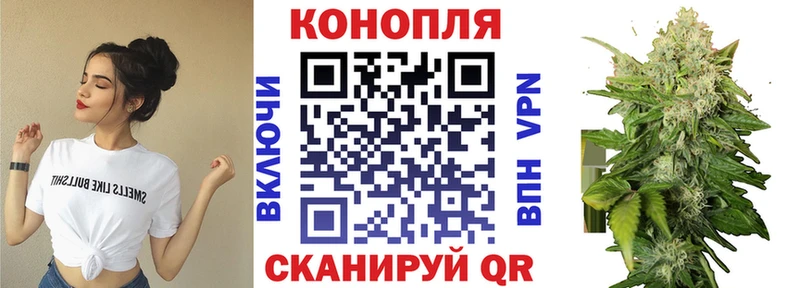 продажа наркотиков Теберда Бошки марихуана MAZAR